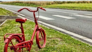 भाड्याची सायकल