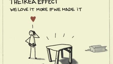 The IKEA EFFECT