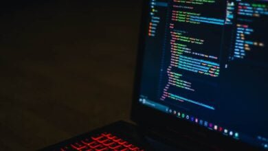 The Honey trap of Coding Classes For Kids