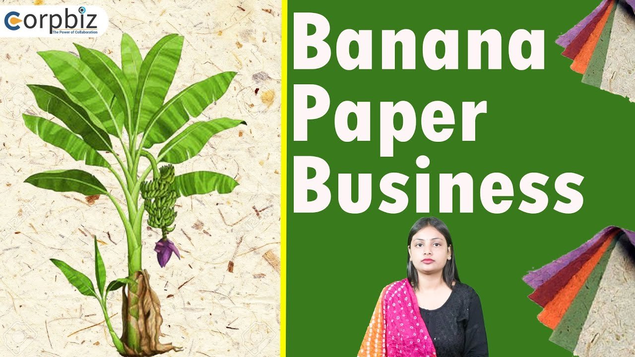 How To Start Banana Paper Making Business
