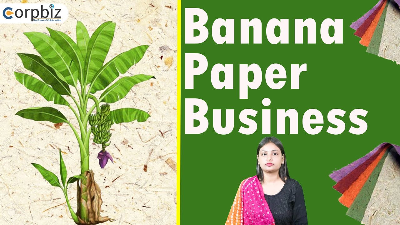 How To Start Banana Paper Making Business 1 How To Start Banana Paper Making Business