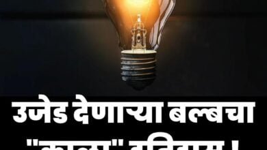 The Dark history of the light bulb